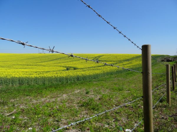 Woven Fence Repair